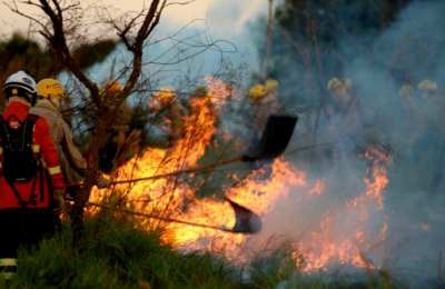 Imagem da notícia Homem joga bituca de cigarro em mato e causa incêndio em Paranaíba
